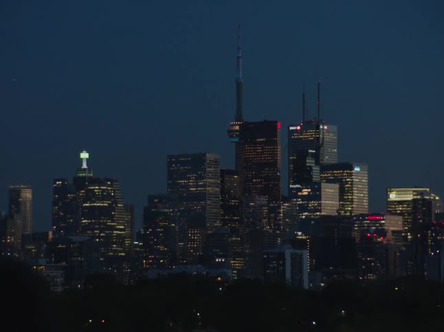 The city skyline with illuminated skyscrapers at night