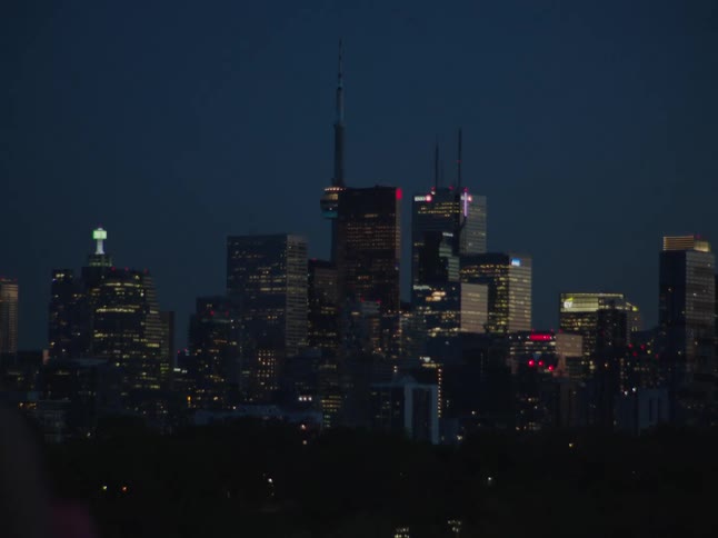 The city is lined with tall buildings
