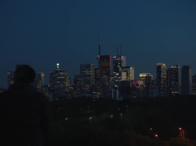 Panorama of a metropolis with skyscrapers illuminated at night and the silhouette of pedestrians walking