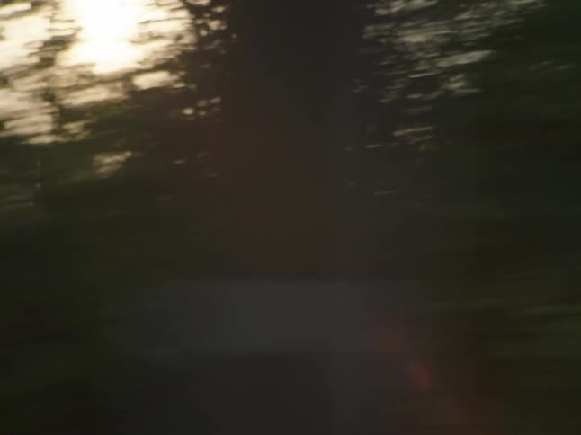 Moving view of trees and buildings in a metropolis in the background with an evening sun