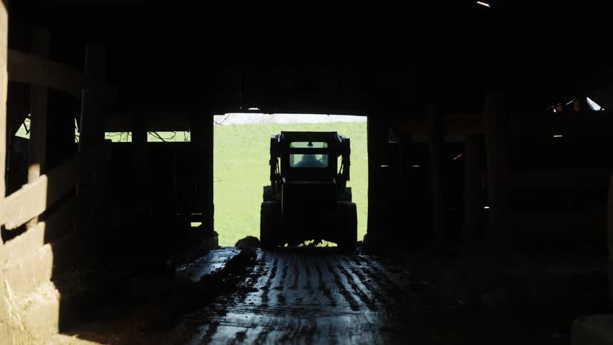 A farmer scrapes manure off of a barn floor with a small bulldozer