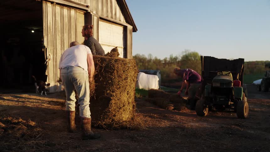 Farmers are gathering hay by the barn