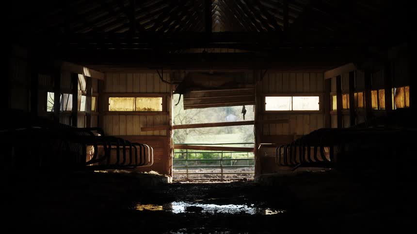 Dark interior of a barn in a farm with a puddle