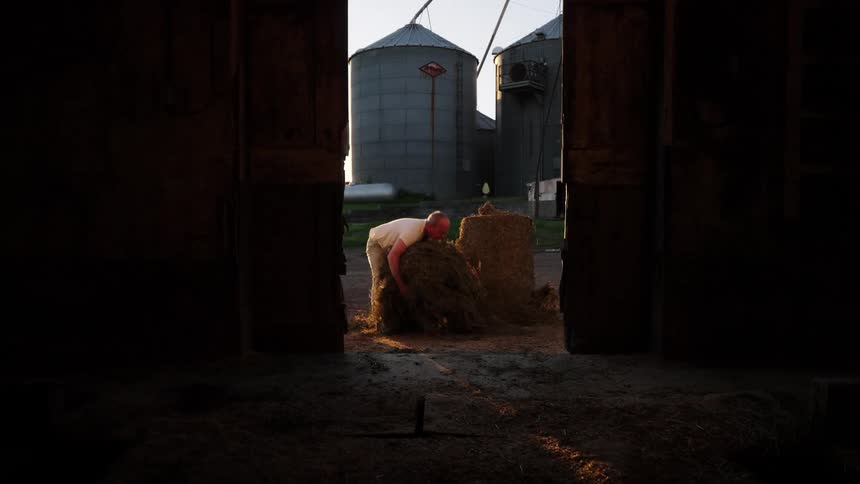 A man carries hay into the barn