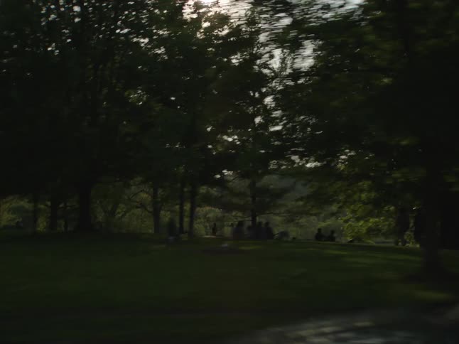 Street with cars parked next to a garden in a treelined park during the day