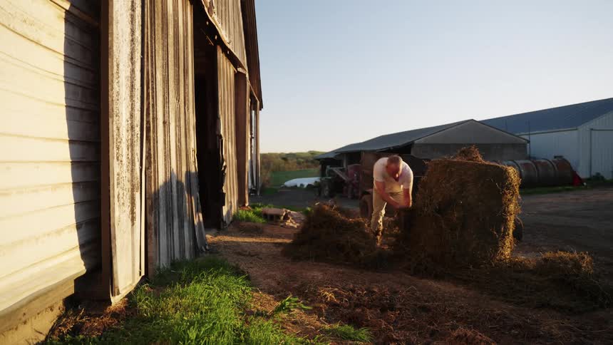Man moving hay next to a barn with agricultural structures in the background