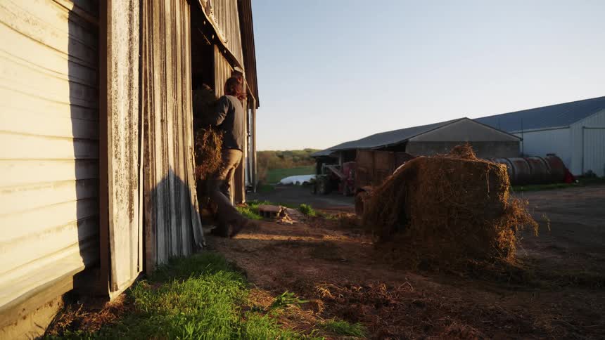 Two men on a farm collecting dry straw from a block and taking it into a shed