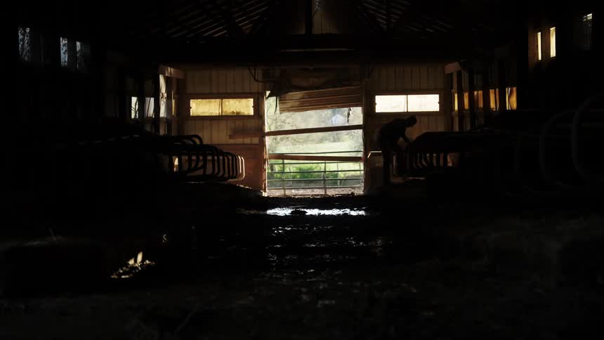 Silhouette of a man inside a wet barn in daylight