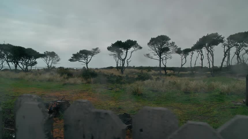 Wooden fence in the foreground with a flat terrain with grass and trees on a cloudy day