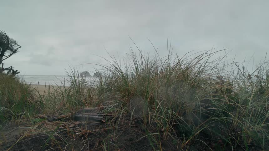 Hill with a beach in the background on a cloudy day
