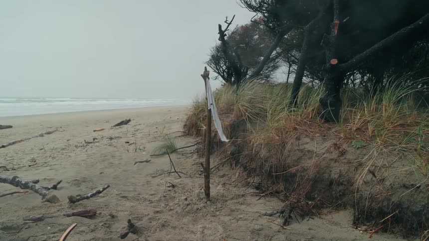A white flag waving in the wind on an empty beach