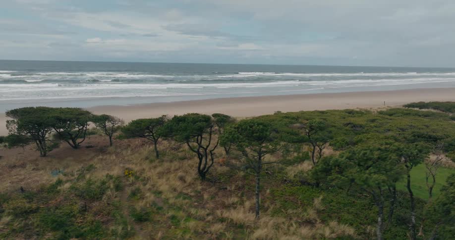 Aerial landscape of vegetation on the edge of a beach with an extensive ocean on a cloudy day