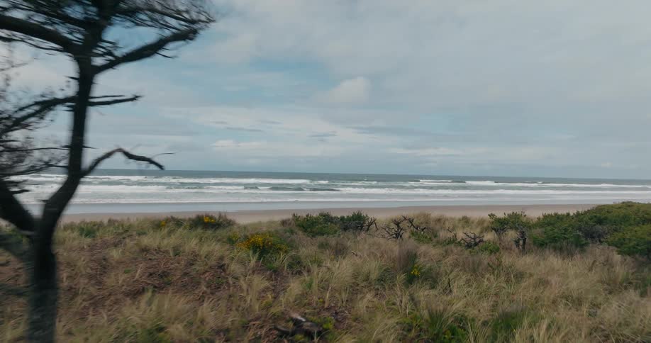 A grassland with a few trees near a beach coastal area