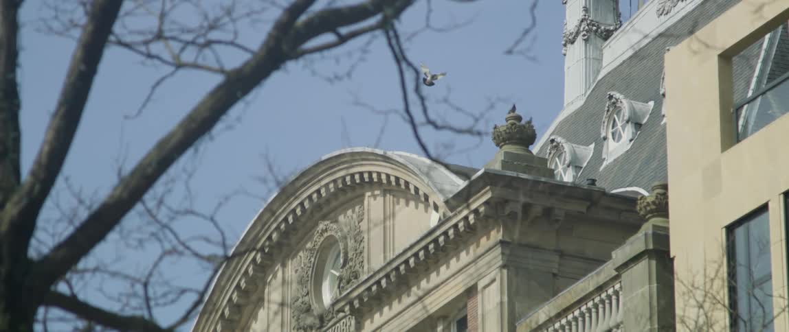 Exterior and rustic architecture of a building with a bird flying and landing on top of a pillar