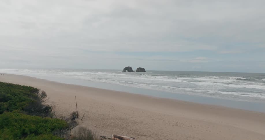 Aerial scenery in the foreground of vegetation on the edge of a beach with rocks in the background