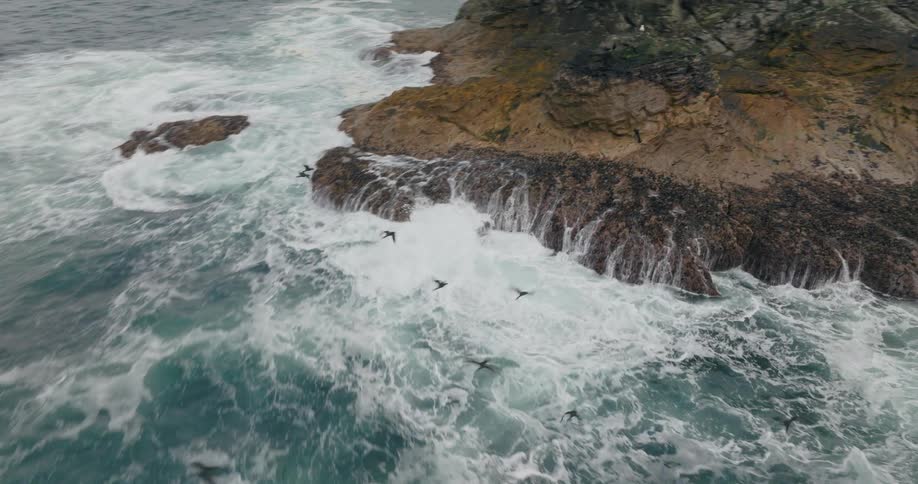 Birds fly from mound on promontory as waves crash against shore
