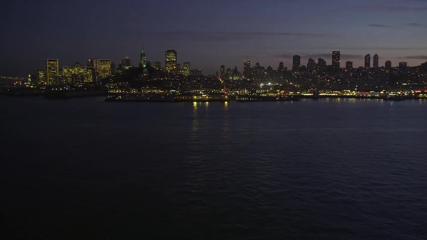 Aerial panorama of a metropolis illuminated at night and by the sea