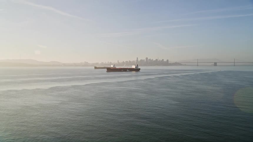 Two cargo ships sails on calm sea with city skyline and bridge in background