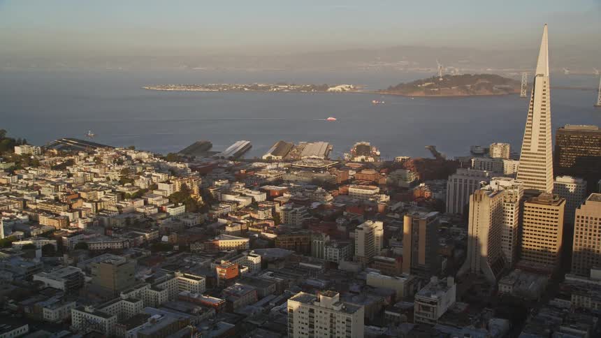 Metropolis with skyscrapers and residential areas seen from above