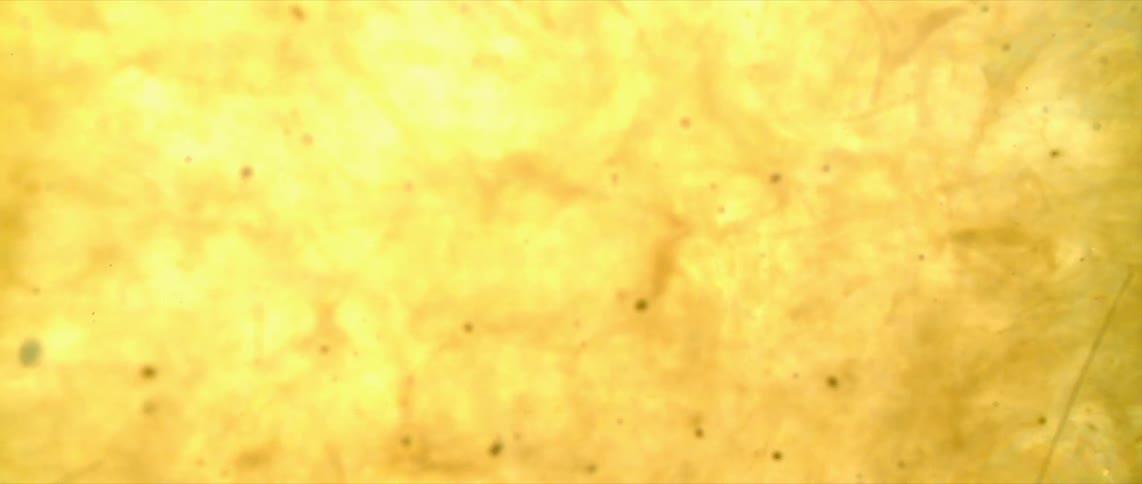 Magnesium filaments inside a flashbulb ingnite in ultra slow motion, shot at 50,000 frames per second.