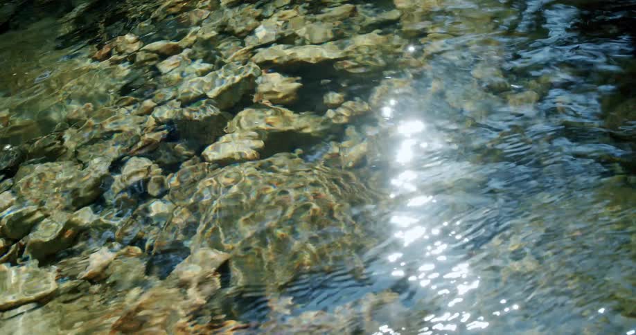 Clear water flowing over a rocky stream bed with sunlight reflecting on the surface ripples