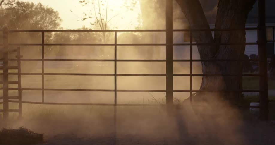 A sturdy metal gate during golden hour with dust clouds reflecting the light