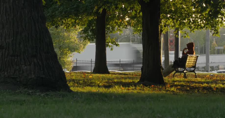A person sits on a park bench between trees during sunset near a highway with cars