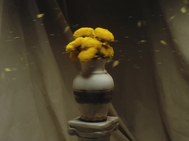 A vase of flowers spins fast on the pedestal