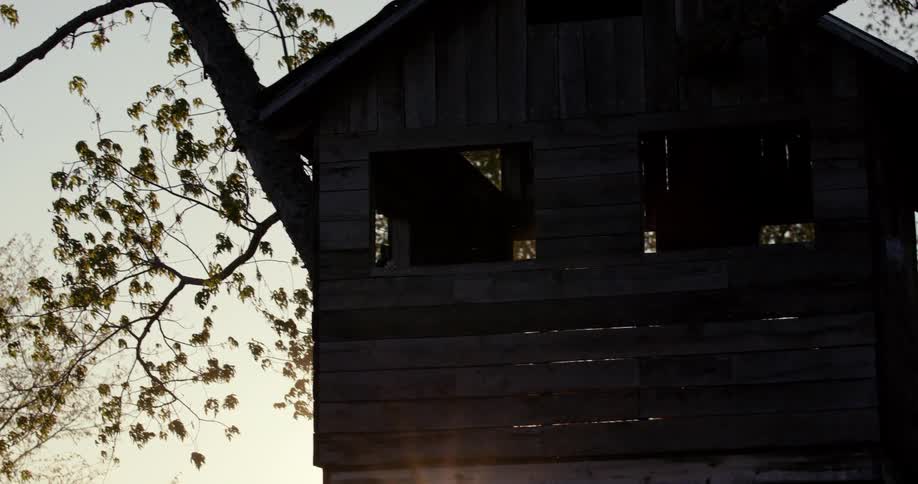 A tree house is up in the tree