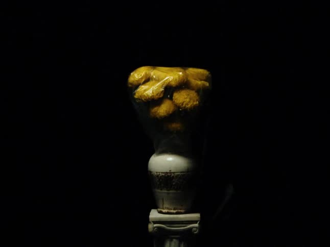 Light shines across vase holding plastic wrapped bouquet in a dark area