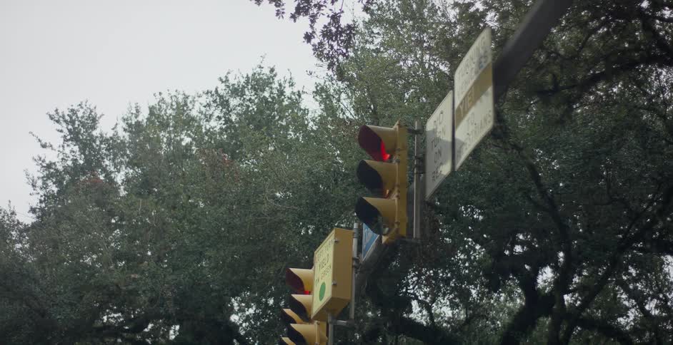 Intersection traffic lights tree tops in the background
