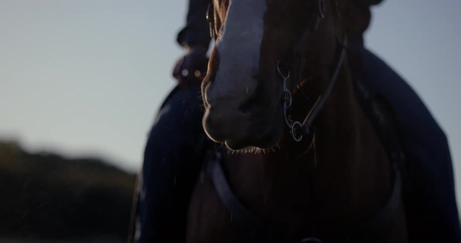 A horse blowing air through its nose