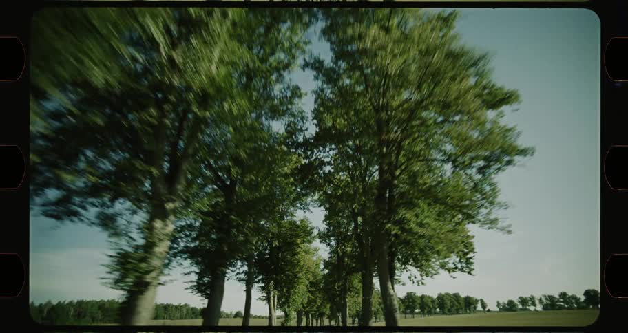 Vehicle drives along treelined highway passing fields near forest