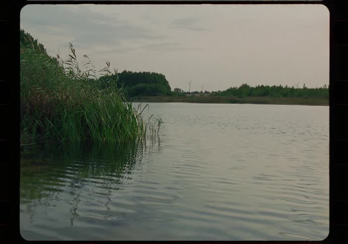 Water gently rippling across a lake in the morning