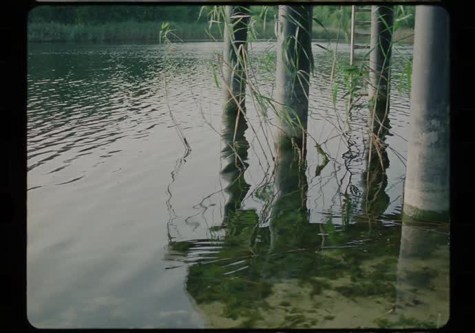 Concrete poles submerged in water reflect on the surface of a calm lake