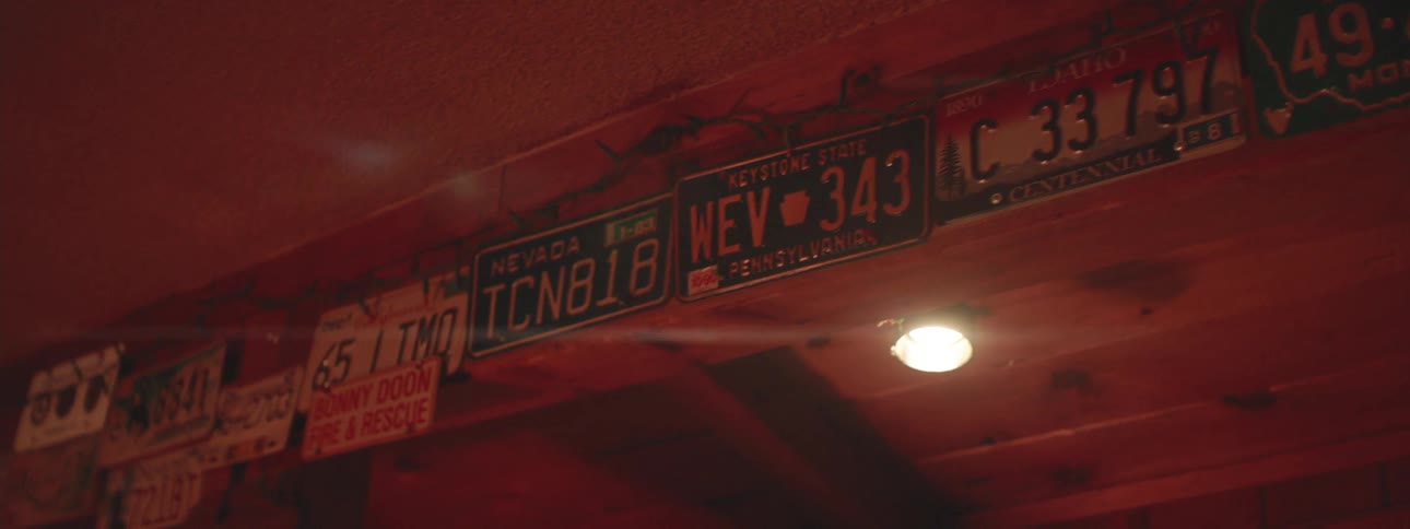 A long row of different license plates lines a wooden wall