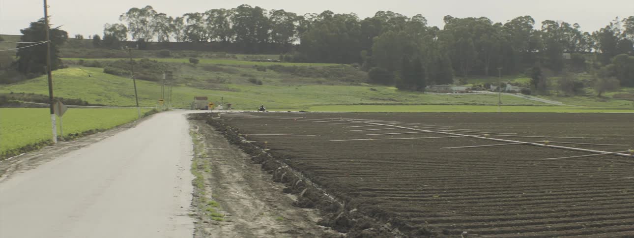 A plantation field and on the left side there is a street with a motorbike passing by