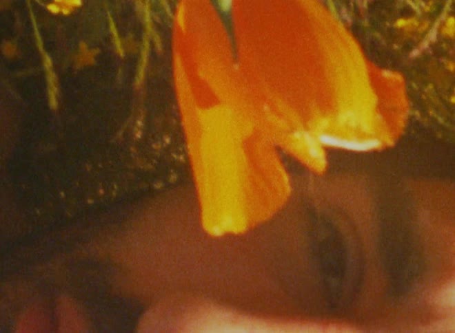 A man lying down in a field of grass and flowers