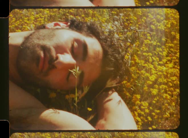 A shirtless man lying in a field of yellow flowers