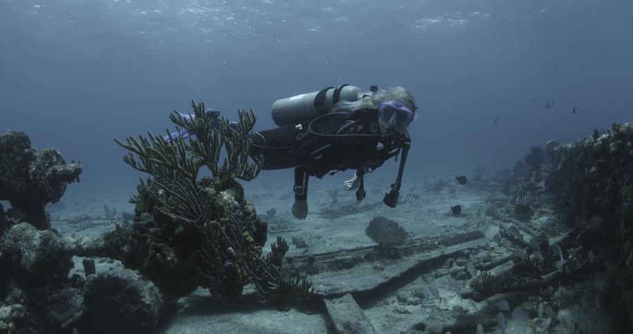 A diver is swimming around an old ship wreck