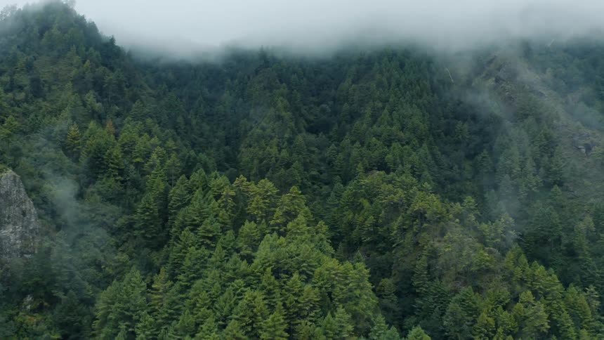 Aerial scenery of mountains covered with forests on a cloudy day