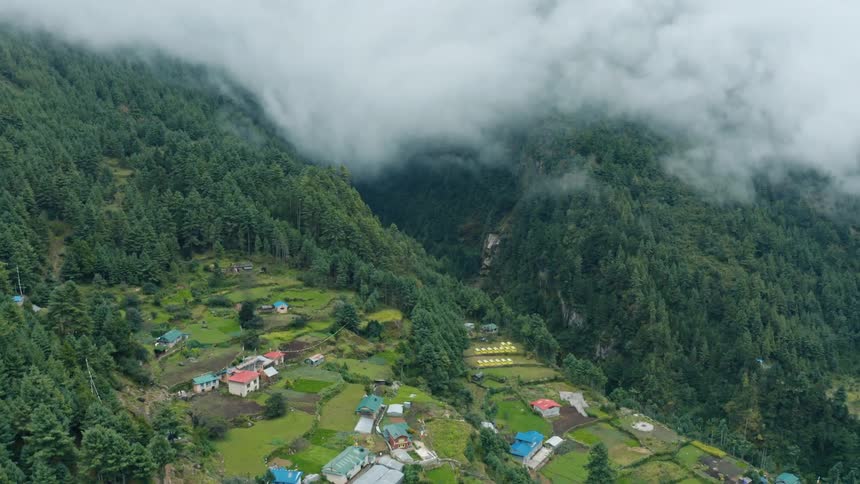 A rural community sits next to a forest
