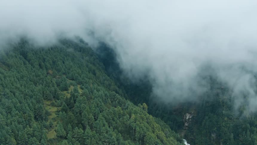Aerial panorama of a green forested mountain