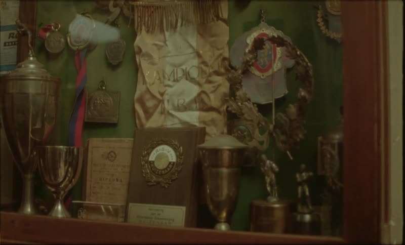 A collection of trophies plaques and medals inside a display case