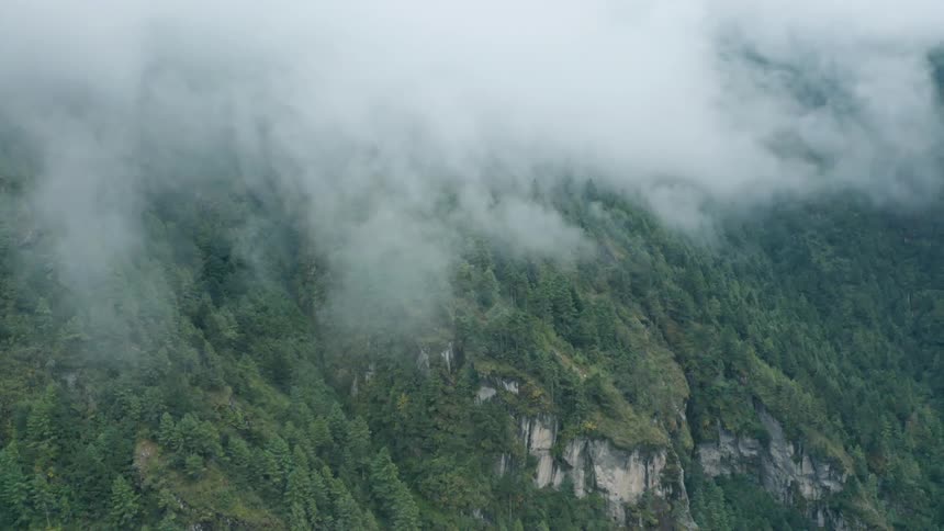 Aerial panorama of forested mountains on a foggy day