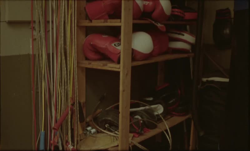 Bookcase with boxing equipment including gloves