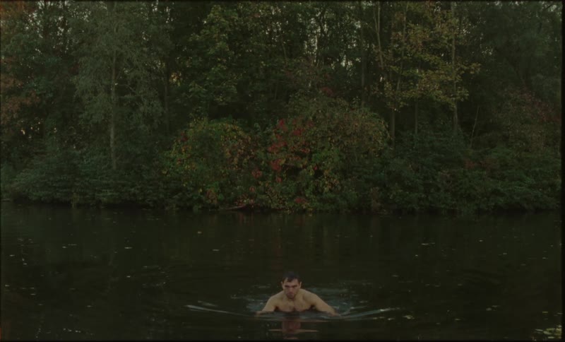 A person is swimming in a calm lake in the forest