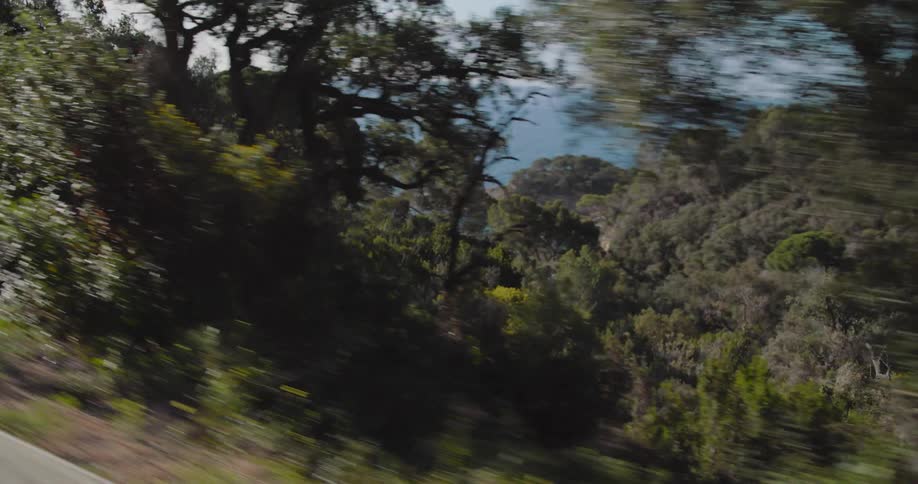 A young woman enjoying a road trip near the ocean