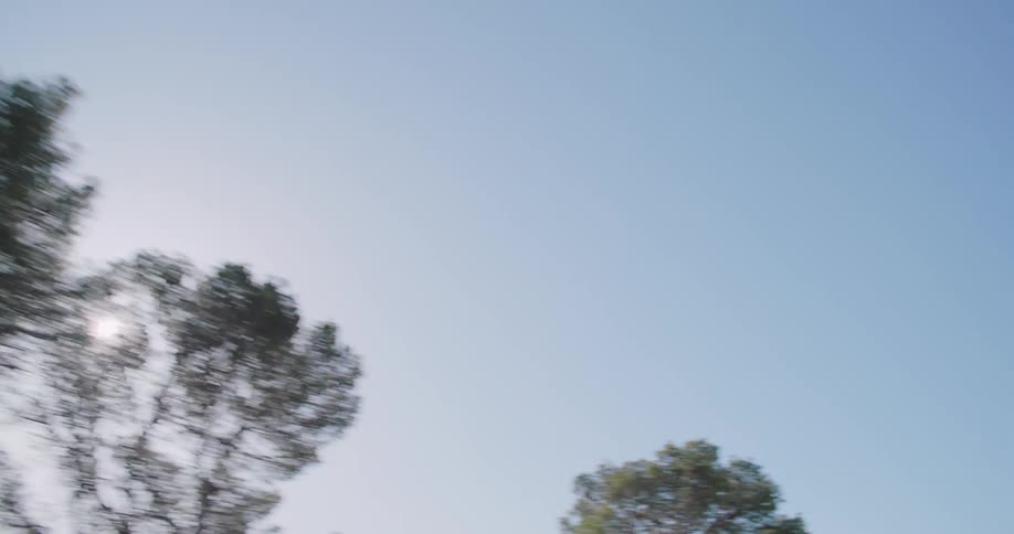 A car driving on a road near the ocean on a sunny day