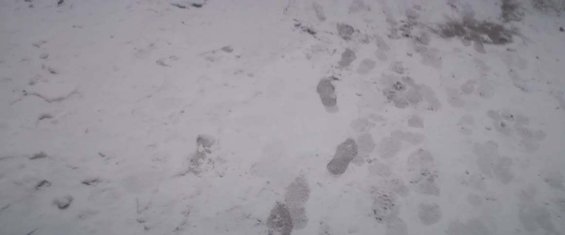 Foot prints and a ground covered in snow